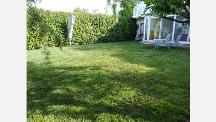 Hazır Çim, Hazır rulo çim, rulo cim